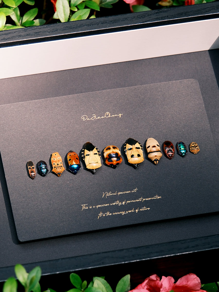 Unique Framed Face Bugs Art: Real Arma Custos Display - Insect Taxidermy for Nature Lovers and Collectors