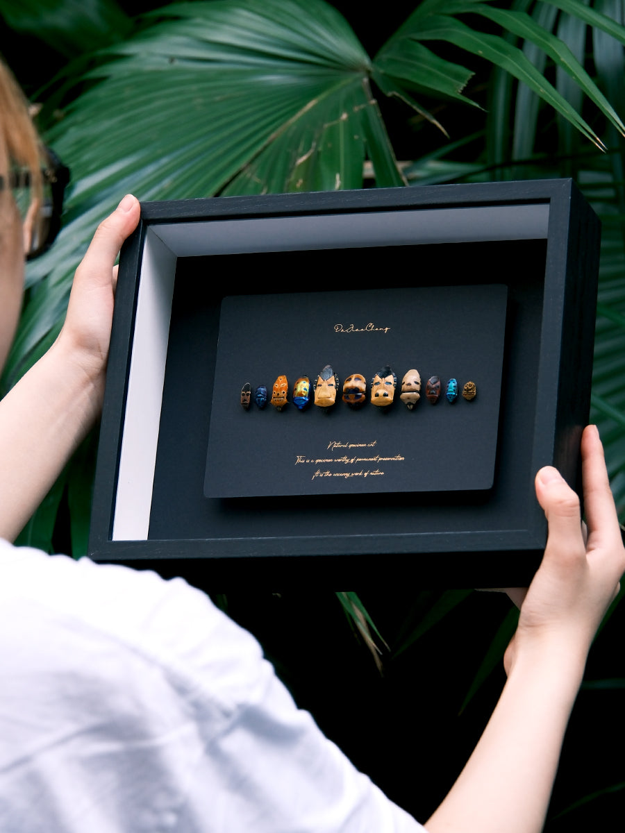 Unique Framed Face Bugs Art: Real Arma Custos Display - Insect Taxidermy for Nature Lovers and Collectors