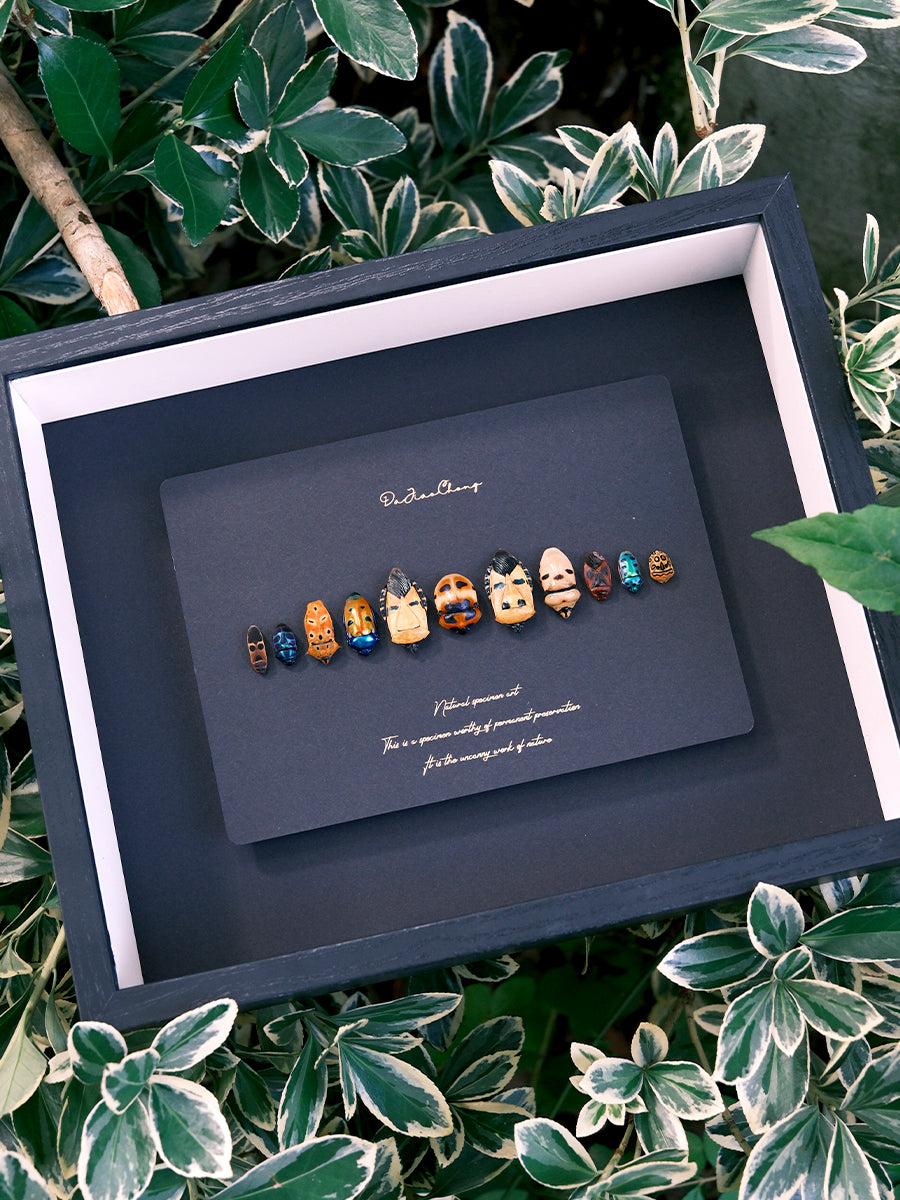 Unique Framed Face Bugs Art: Real Arma Custos Display - Insect Taxidermy for Nature Lovers and Collectors
