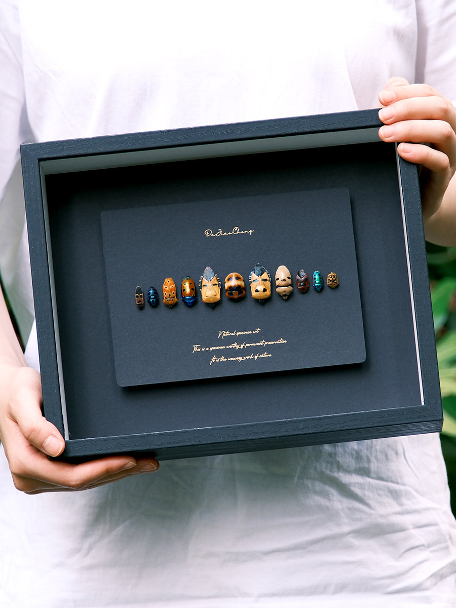 Unique Framed Face Bugs Art: Real Arma Custos Display - Insect Taxidermy for Nature Lovers and Collectors