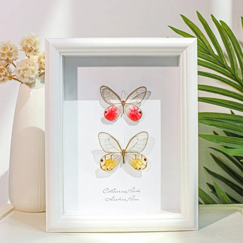 Transparent Wings Real Butterfly Specimen Photo Frame Office Bookshelf Desktop Decorations Wall Art Creative Gift