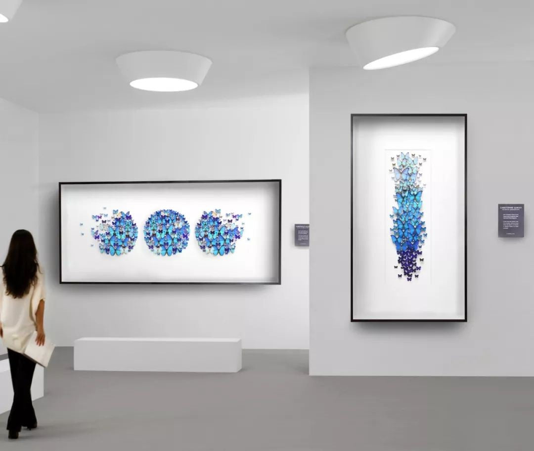 Butterflies in Frame Wall Decoration 95×177cm