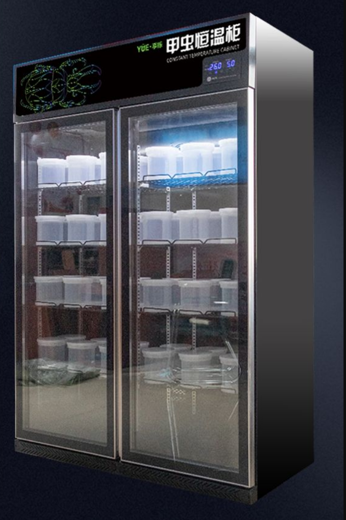 Professional Beetle Reptile Turtle Snake Lizard Incubator