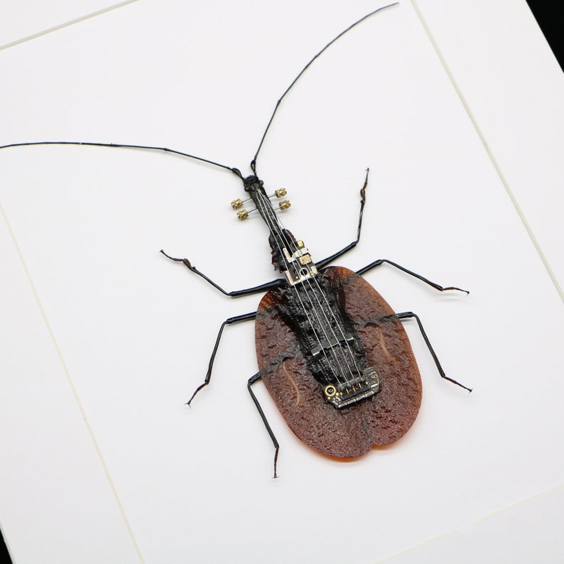 Steampunk Violin Fiddle Beetle Mormolyce Phyllodes Insect Machine Sculpture Clockwork Wall Decor Ornament Gift for Violin Players Lovers Art