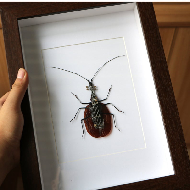 Steampunk Violin Fiddle Beetle Mormolyce Phyllodes Insect Machine Sculpture Clockwork Wall Decor Ornament Gift for Violin Players Lovers Art