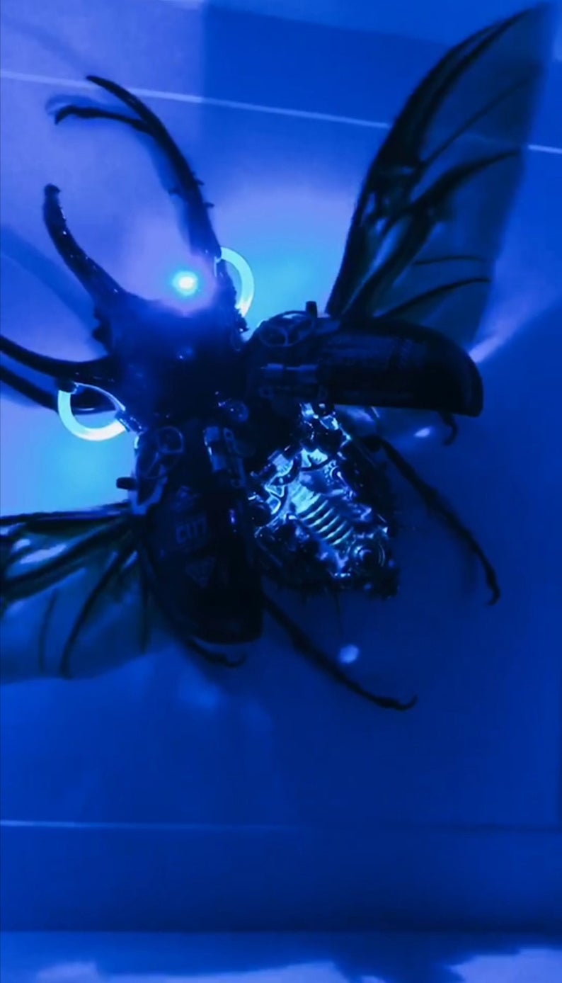 Steampunk Beetle Insect with Moving Wings Handmade Clockwork Real Chalcosoma Atlas Taxidermy Art Cyberpunk Sculpture Wall Decor Ornament