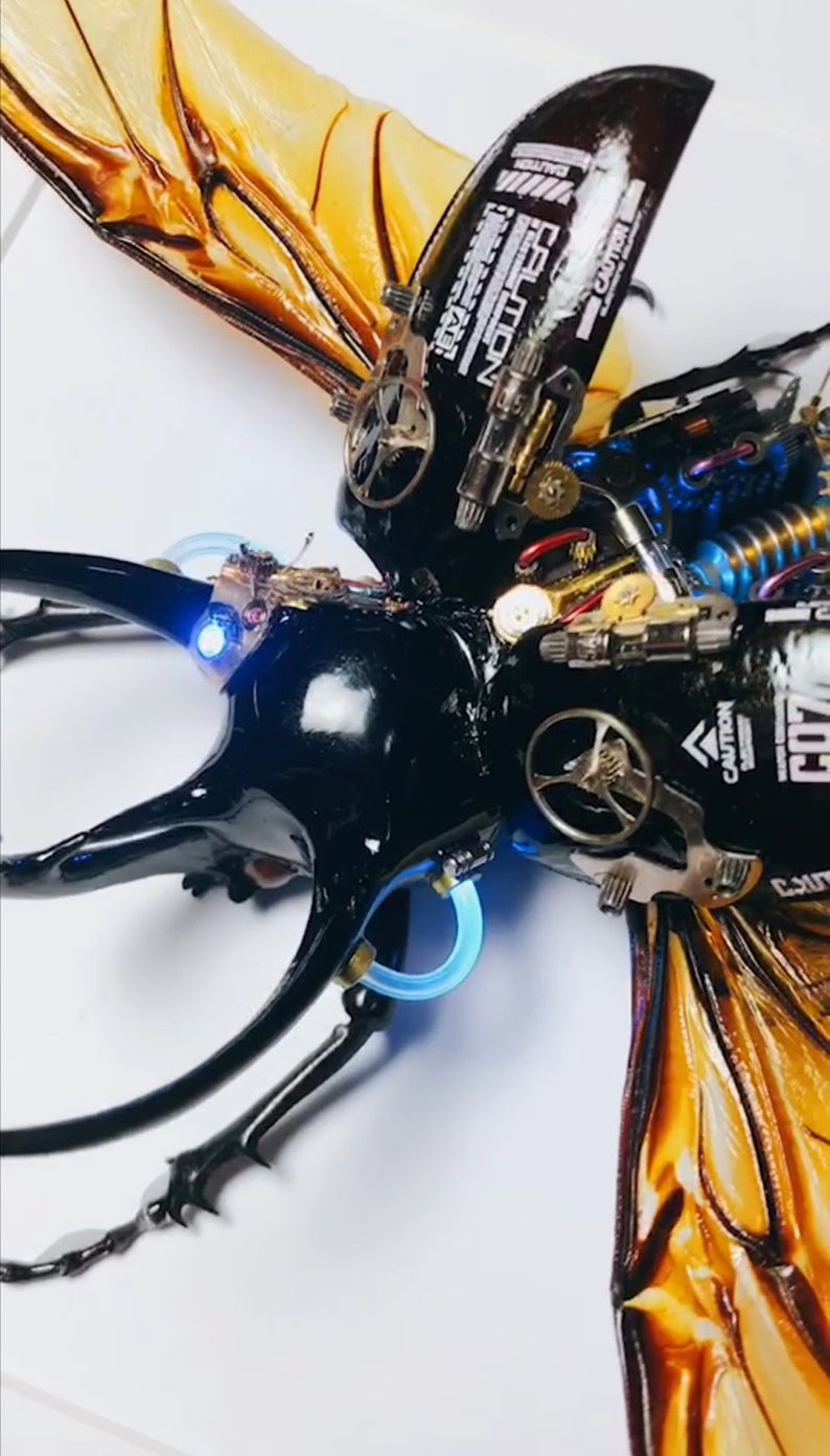 Steampunk Beetle Insect with Moving Wings Handmade Clockwork Real Chalcosoma Atlas Taxidermy Art Cyberpunk Sculpture Wall Decor Ornament