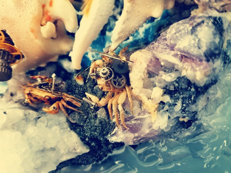 Steampunk Beetle Handmade Clockwork Real Brown Crab Framed Insect Cyberpunk Collecting Home Decor As Gift Sculpture Robots Aesthetic Art