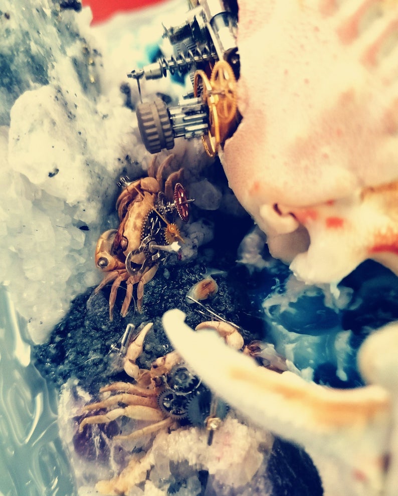 Steampunk Beetle Handmade Clockwork Real Brown Crab Framed Insect Cyberpunk Collecting Home Decor As Gift Sculpture Robots Aesthetic Art