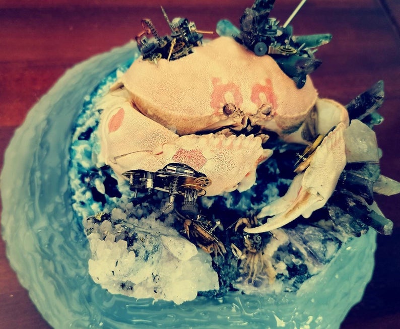 Steampunk Beetle Handmade Clockwork Real Brown Crab Framed Insect Cyberpunk Collecting Home Decor As Gift Sculpture Robots Aesthetic Art