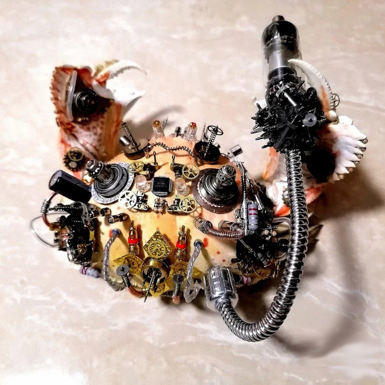 Steampunk Beetle Handmade Clockwork Real Brown Crab Framed Insect Cyberpunk Collecting Home Decor As Gift Sculpture Robots Aesthetic Art