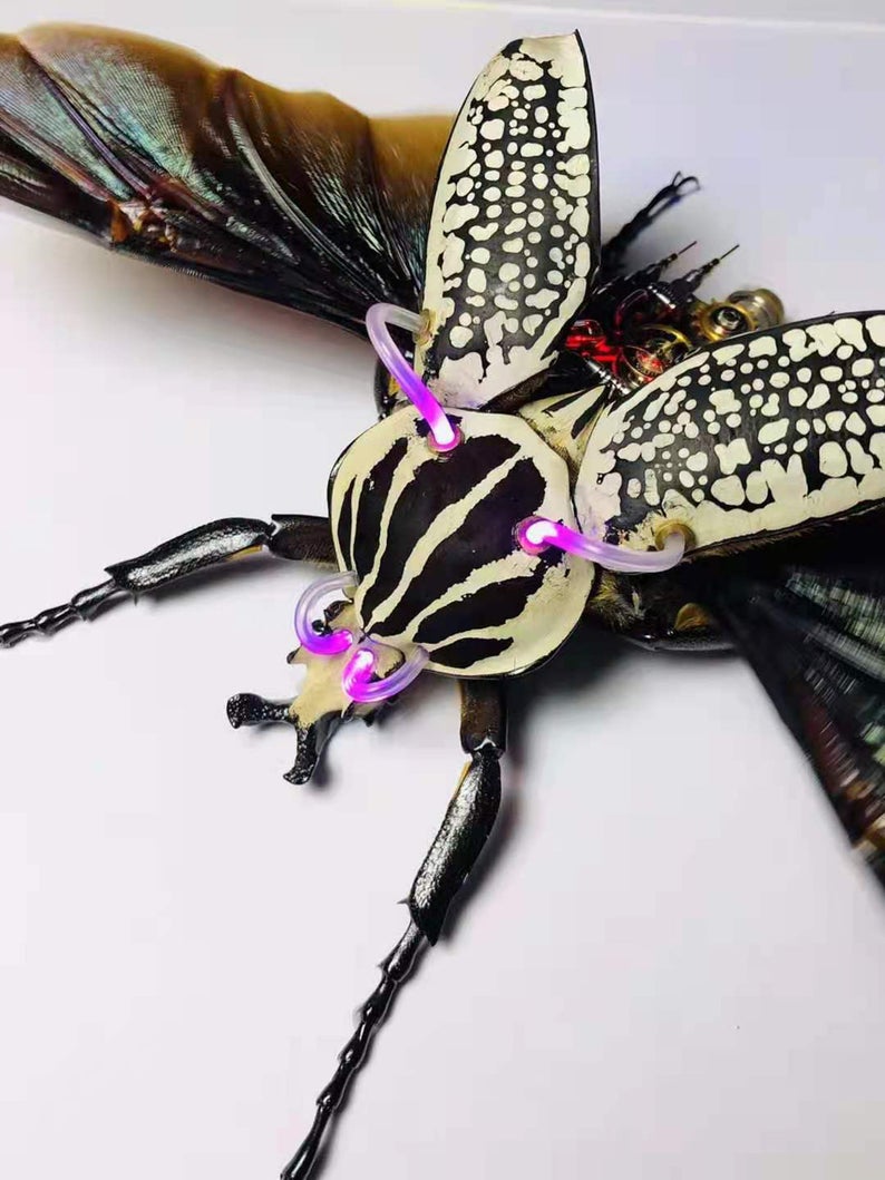Steampunk Beetle Insect Handmade Clockwork Real Goliathus Giganteus Cyberpunk Sculpture Art Toy Wall Decor Ornament Robots Aesthetic Art