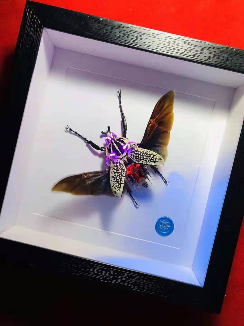 Steampunk Beetle Insect Handmade Clockwork Real Goliathus Giganteus Cyberpunk Sculpture Art Toy Wall Decor Ornament Robots Aesthetic Art