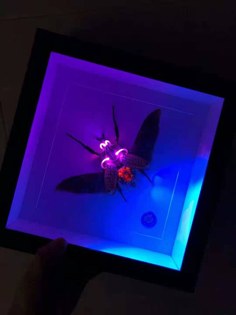 Steampunk Beetle Insect Handmade Clockwork Real Goliathus Giganteus Cyberpunk Sculpture Art Toy Wall Decor Ornament Robots Aesthetic Art