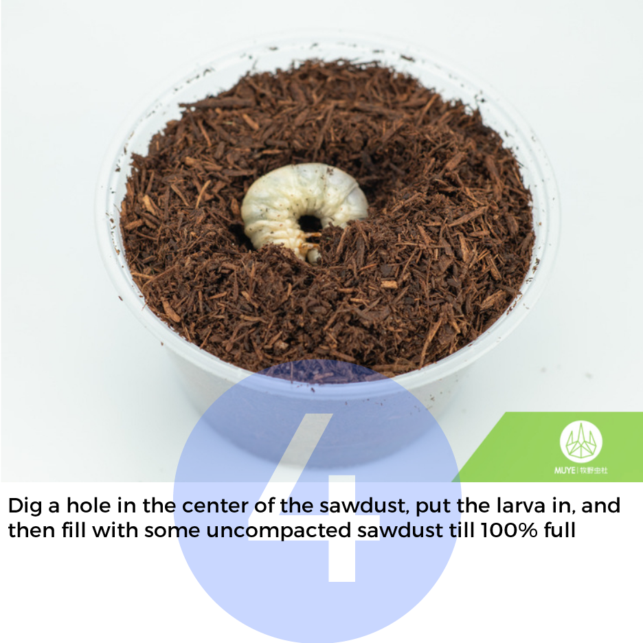 Premium Primary Fermented Flake Soil Sawdust Beetle Substrate Beetle Breeding VINOX-M 5L