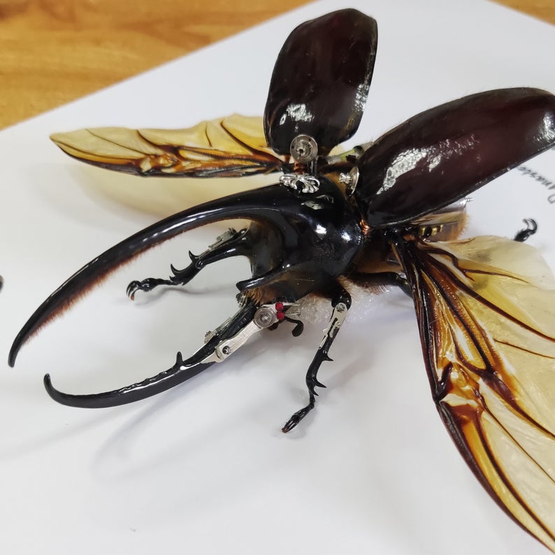 Steampunk Beetle Handmade Clockwork Dynastes Neptunus for Collecting Sculpture Wall Decor Ornament Gift for Men Him Robots Aesthetic Art