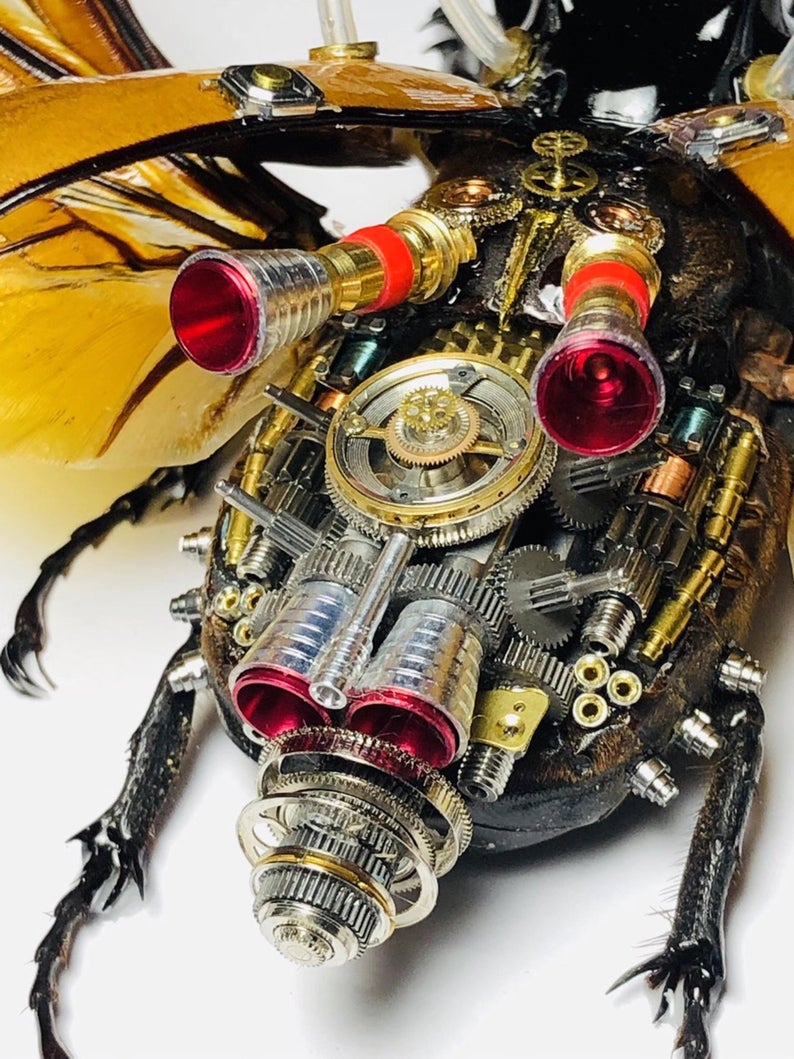 Steampunk Beetle Insect Handmade Eupatorus Gracilicornis with Moving Wings Cyberpunk Wall Decor Ornament Gift for Men Robots Aesthetic Art