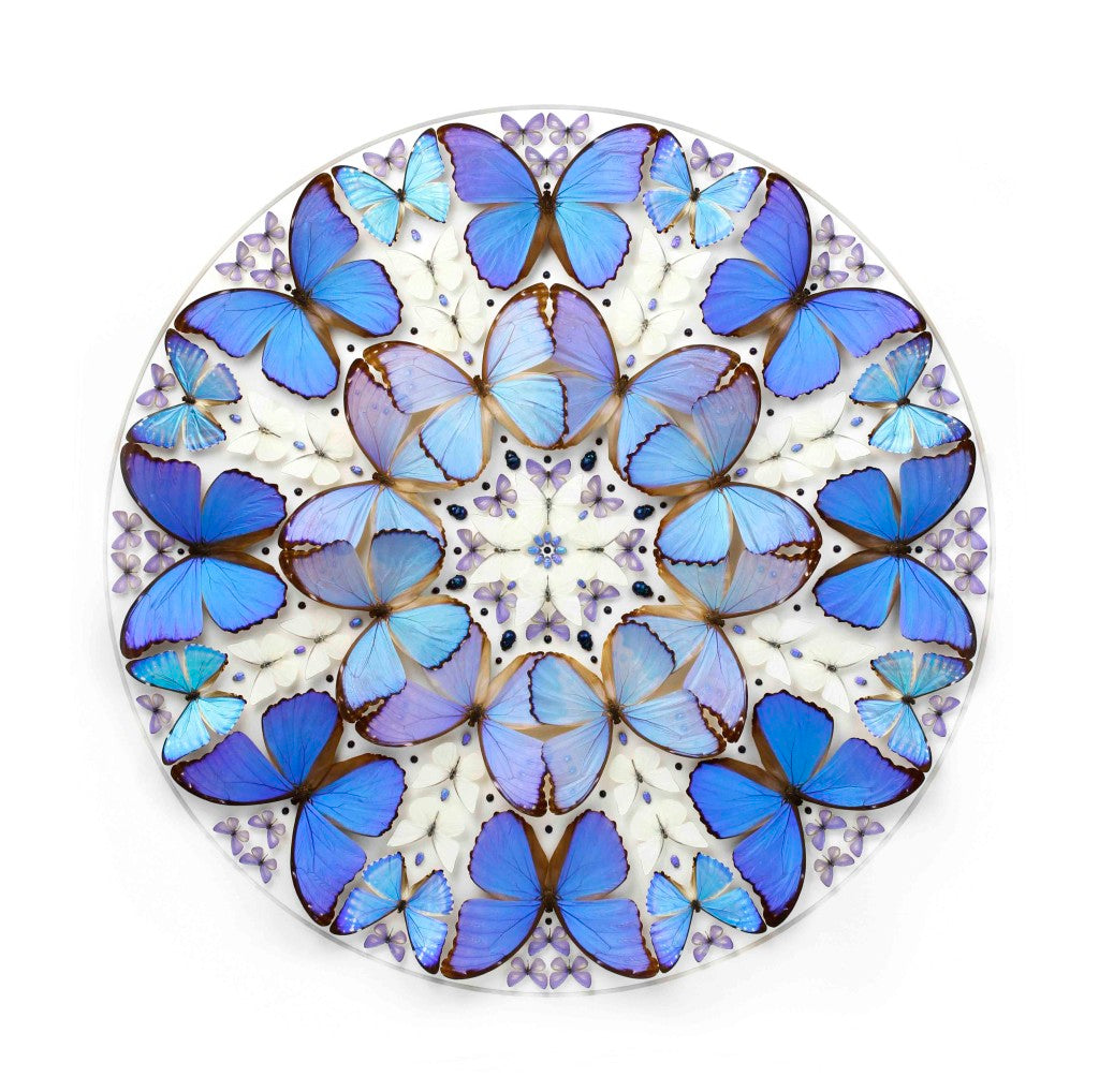 Butterflies in Frame Wall Decoration 105x105cm