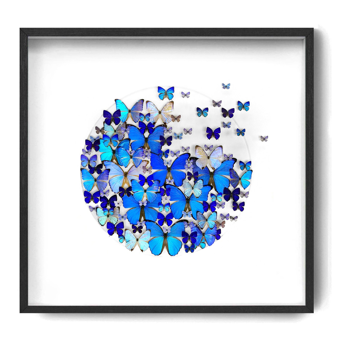 Butterflies in Frame Wall Decoration 95x95cm
