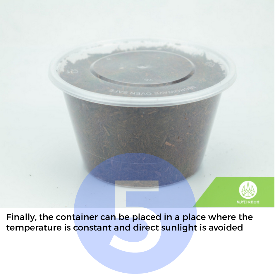 Premium Primary Fermented Flake Soil Sawdust Beetle Substrate Beetle Breeding VINOX-M 5L