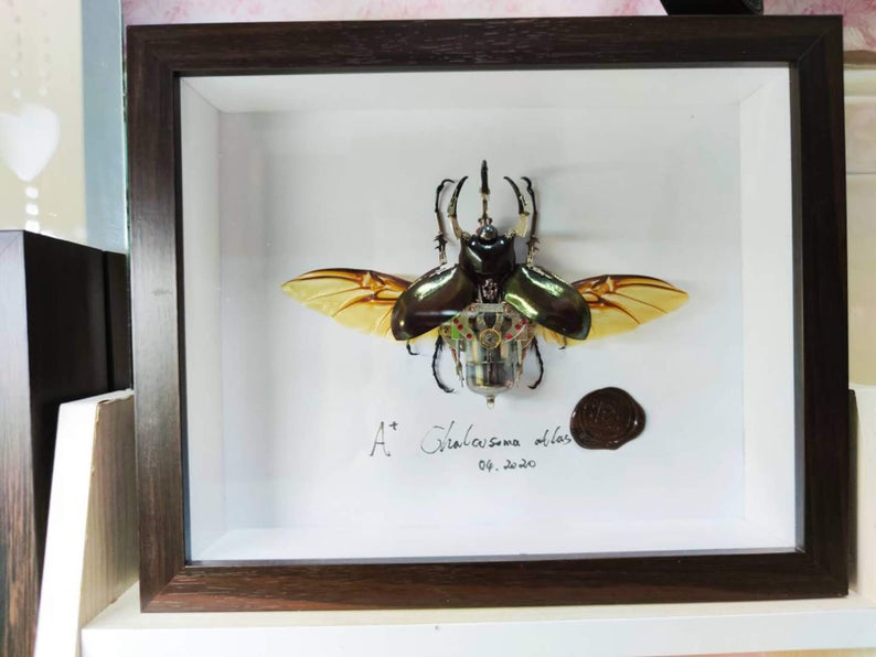 Steampunk BeetleInsect Handmade Clockwork Chalcosoma Atlas Rhino Cyberpunk Wall Decor Ornament Home Decor Gift for Men Robots Aesthetic Art
