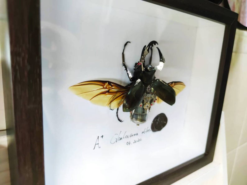 Steampunk BeetleInsect Handmade Clockwork Chalcosoma Atlas Rhino Cyberpunk Wall Decor Ornament Home Decor Gift for Men Robots Aesthetic Art