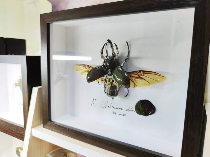 Steampunk BeetleInsect Handmade Clockwork Chalcosoma Atlas Rhino Cyberpunk Wall Decor Ornament Home Decor Gift for Men Robots Aesthetic Art