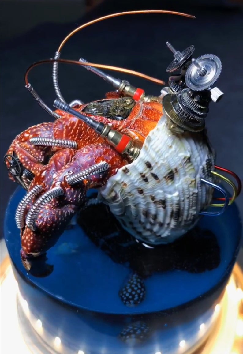 Steampunk Beetle Handmade Clockwork Real Hermit Crab Framed Insect Cyberpunk Collecting Home Decor As Gift Sculpture Robots Aesthetic Art