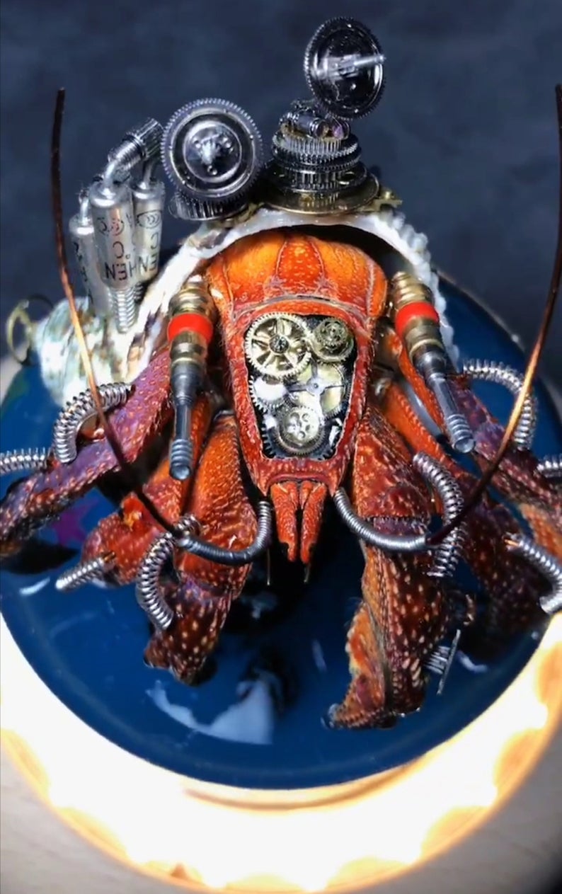 Steampunk Beetle Handmade Clockwork Real Hermit Crab Framed Insect Cyberpunk Collecting Home Decor As Gift Sculpture Robots Aesthetic Art
