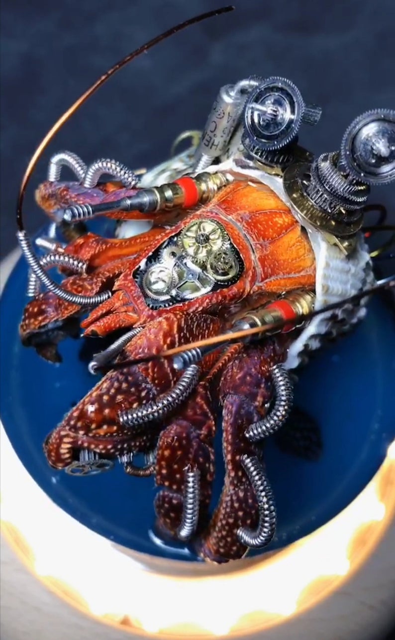 Steampunk Beetle Handmade Clockwork Real Hermit Crab Framed Insect Cyberpunk Collecting Home Decor As Gift Sculpture Robots Aesthetic Art