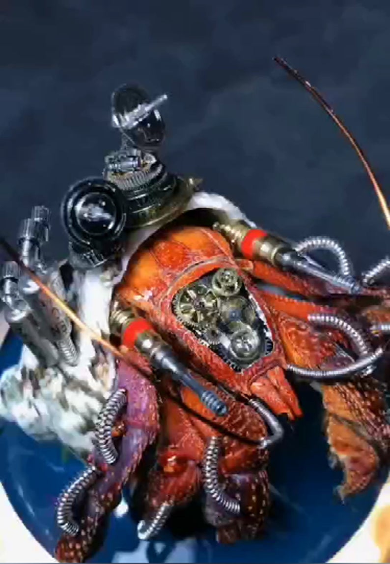 Steampunk Beetle Handmade Clockwork Real Hermit Crab Framed Insect Cyberpunk Collecting Home Decor As Gift Sculpture Robots Aesthetic Art