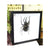 Chalcosoma caucasus male