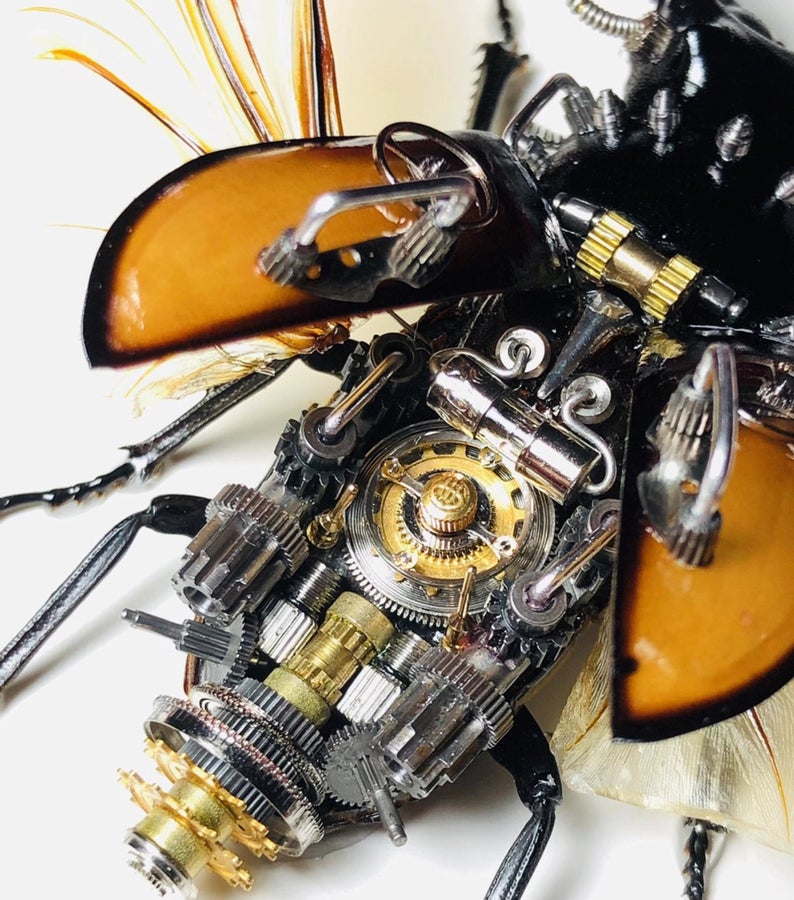 Steampunk Beetle Insect Machine Kinetic Sculpture Clockwork Real Odontolabis Cuvera Wall Decor Ornament Gift for Men Robots Aesthetic Art