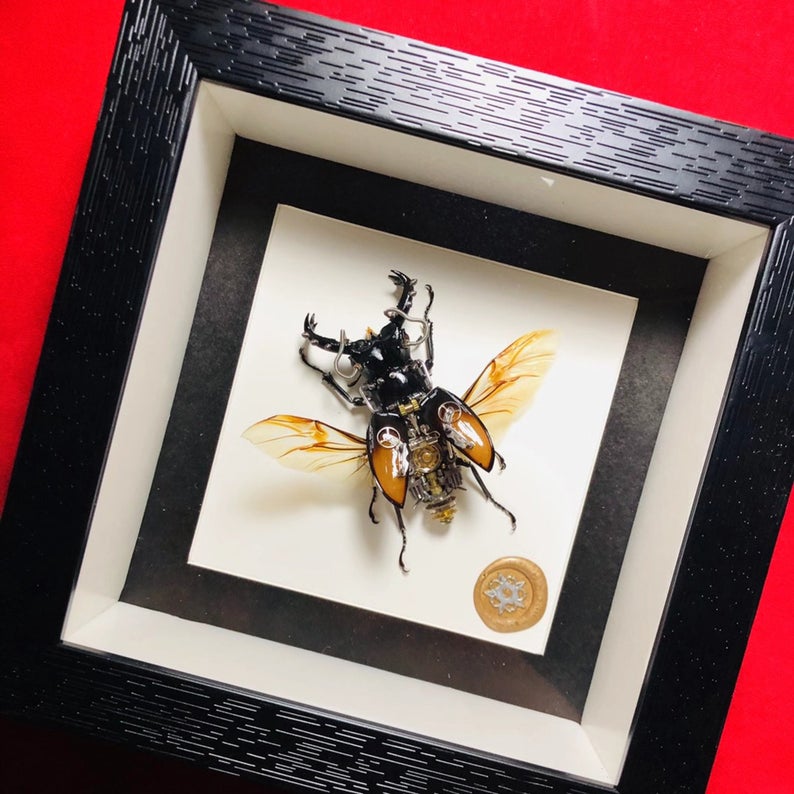 Steampunk Beetle Insect Machine Kinetic Sculpture Clockwork Real Odontolabis Cuvera Wall Decor Ornament Gift for Men Robots Aesthetic Art