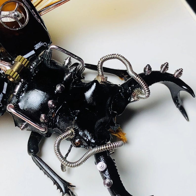 Steampunk Beetle Insect Machine Kinetic Sculpture Clockwork Real Odontolabis Cuvera Wall Decor Ornament Gift for Men Robots Aesthetic Art