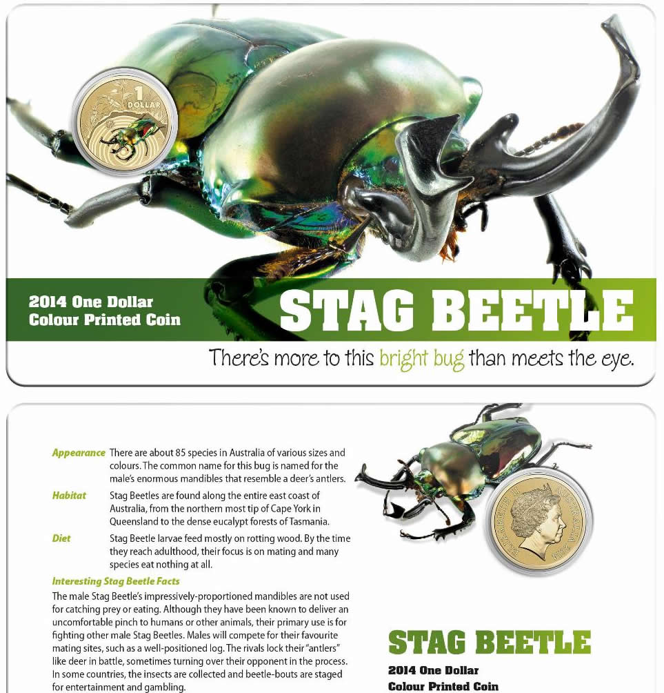 2014 $1 Bright Bugs Series Unc Coin in Card