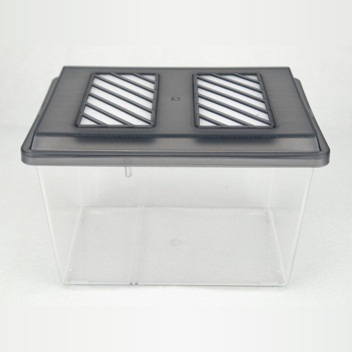 Special Designed PP Plastic Container Beetles Spiders Reptile