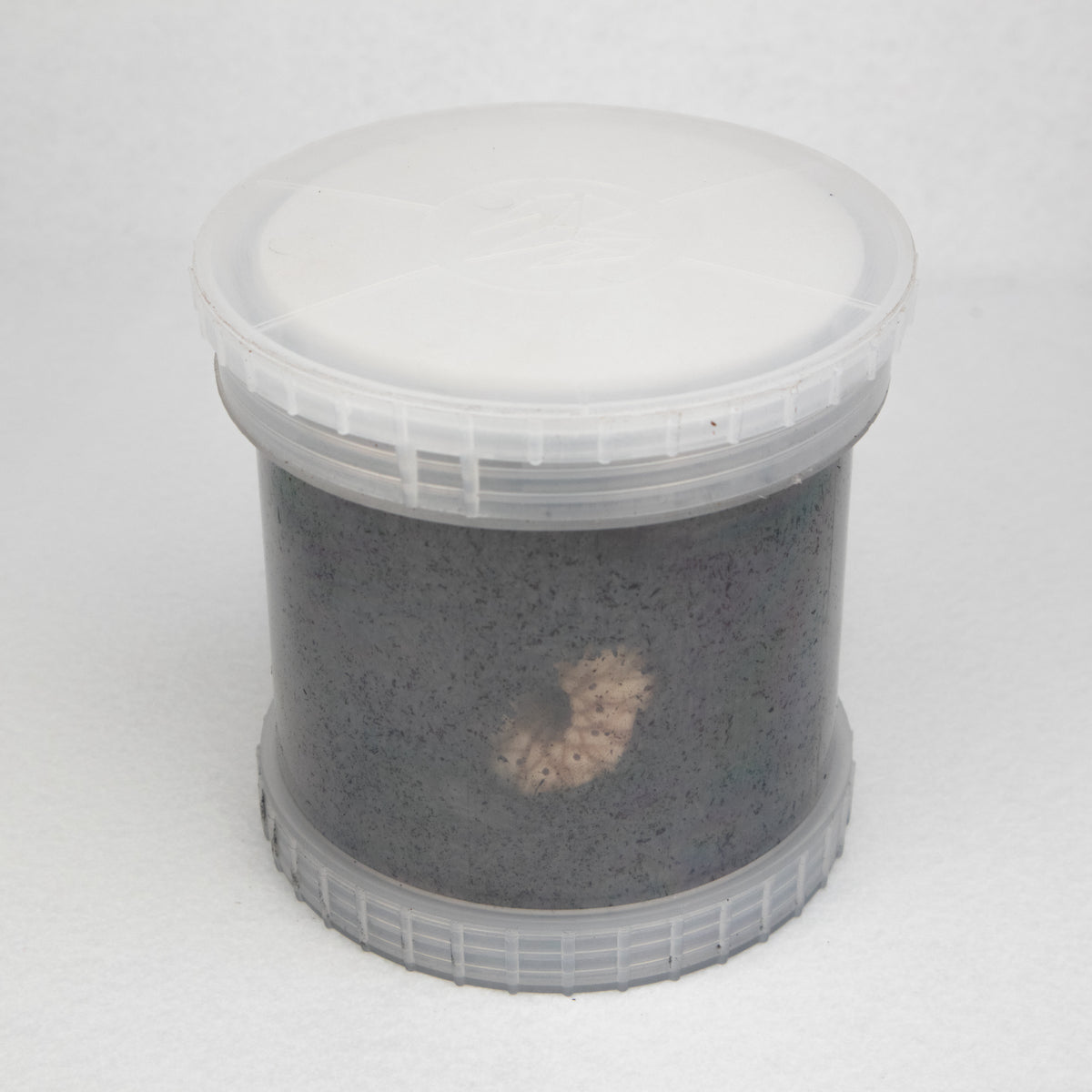 Special Designed 2 way Extendable Plastic Container For Beetles Spiders