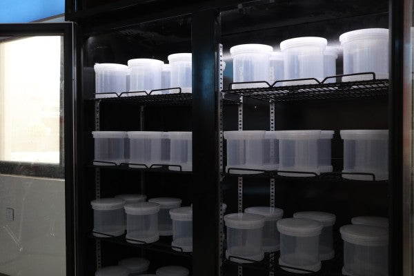 Professional Beetle Reptile Turtle Snake Lizard Incubator