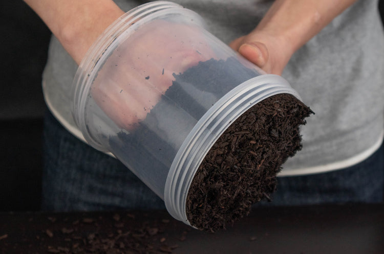 Special Designed 2 way Extendable Plastic Container For Beetles Spiders