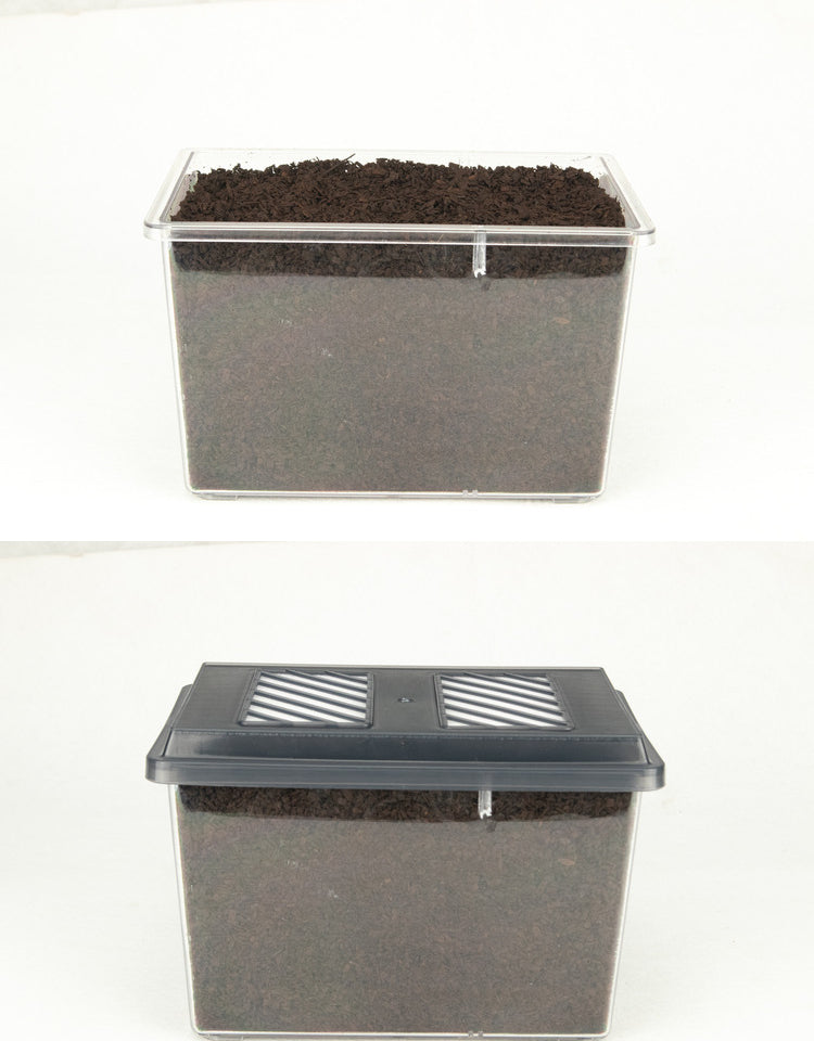 Special Designed PP Plastic Container Beetles Spiders Reptile