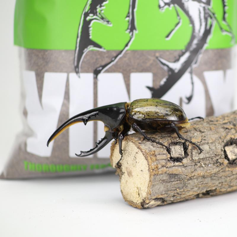 Premium Secondary Fermented Flake Soil Sawdust Beetle Substrate Beetle Breeding VINOX-U 5L