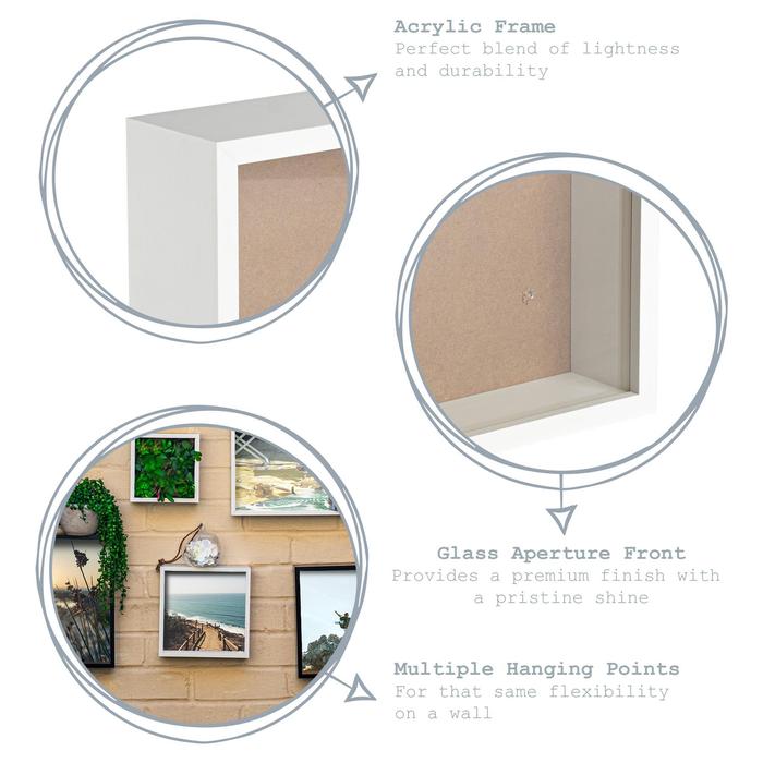 Fortumii Jewel Beetle (Temognatha fortumii) in Deep Shadow Box Frame